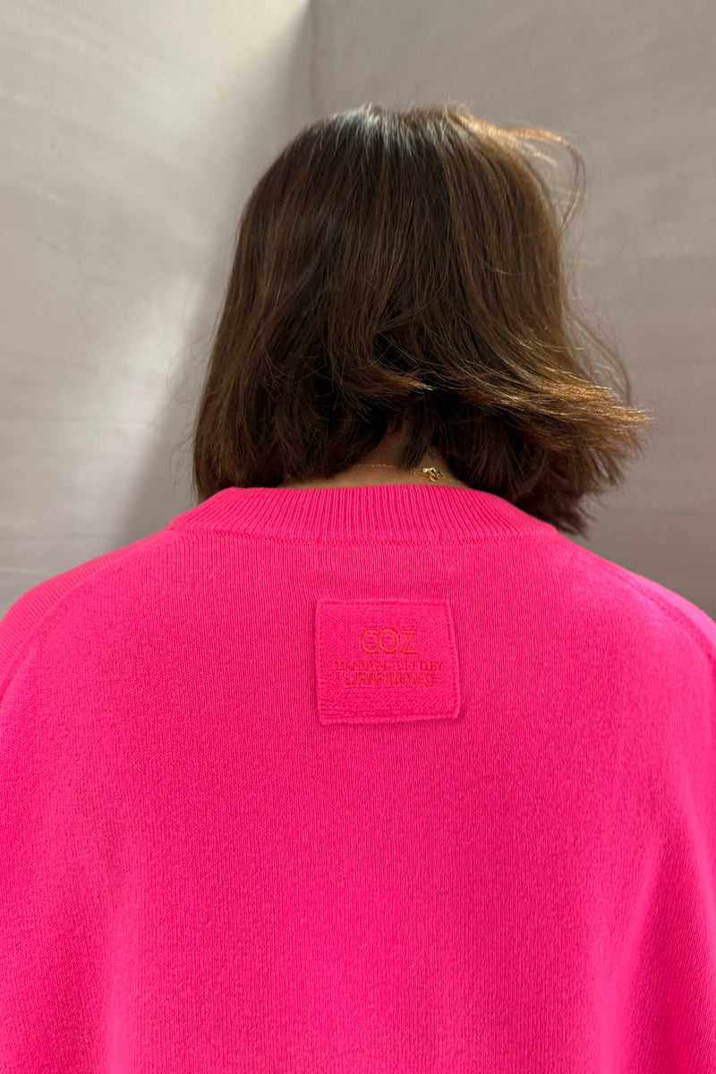 Unisex Cashmere Crew Neck Knit (CZ325-LPO49) / F / PINK