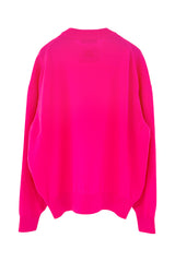 Unisex Cashmere Crew Neck Knit (CZ325-LPO49) / F / PINK
