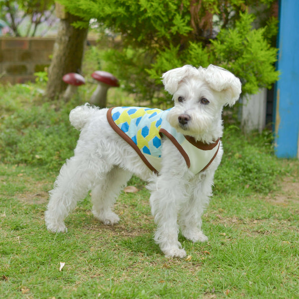 【DOG ACCESSORIES】 COLORFUL TILE